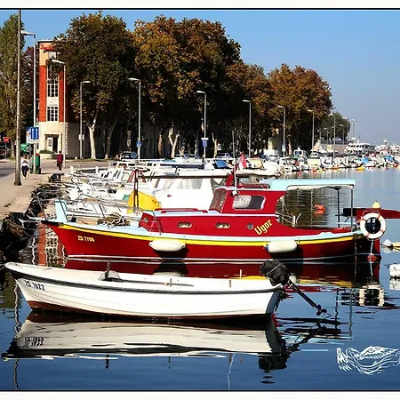 And Soul Of Dalmatia