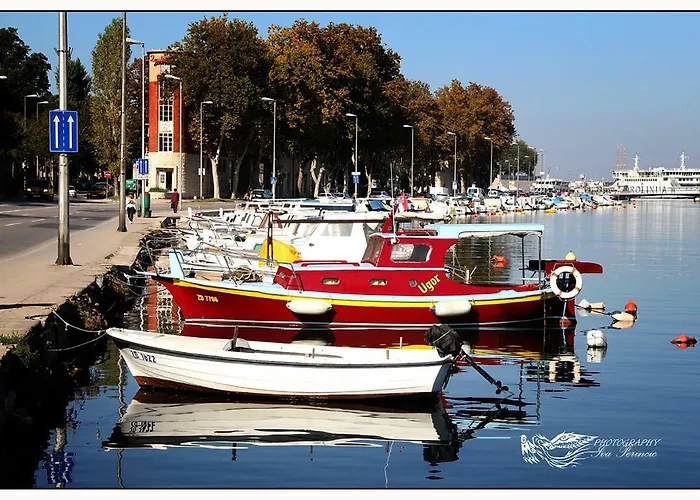 Apartment And Room Soul Of Dalmatia